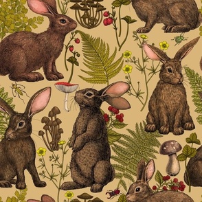 Rabbits and woodland flora on honney