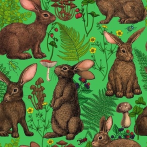 Rabbits and woodland flora on grass green