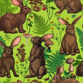 Rabbits and woodland flora on lime green