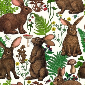 Rabbits and woodland flora on off white