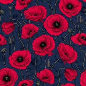 Red Poppies on navy