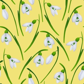 Snowdrops on yellow