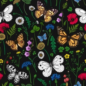 Wild flowers and butterflies on black