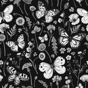 Wild flowers and butterflies, monochrome, on black
