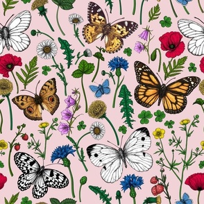 Wild flowers and butterflies on pink
