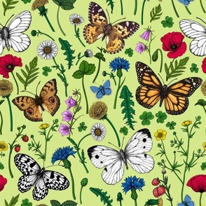 Wild flowers and butterflies on honney dew green