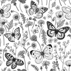 Wild flowers and butterflies, monochrome on white