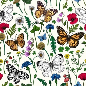 Wild flowers and butterflies on natural white