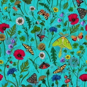 Wild flowers and moths on blue