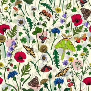 Wild flowers and moths on off white