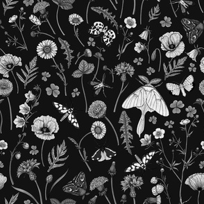 Wild flowers and moths, monochrome on black