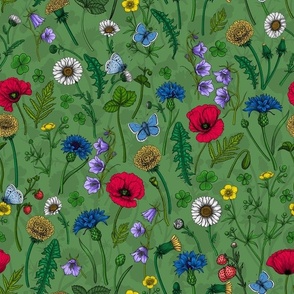 Wild flowers, poppies, cornflowers, daisies and more on green