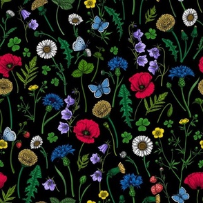 Wild flowers, poppies, cornflowers, daisies and more on black