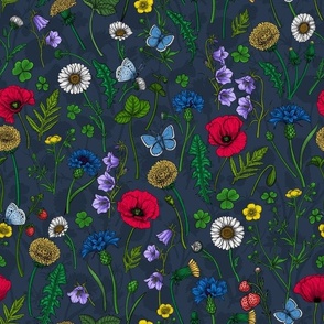 Wild flowers, poppies, cornflowers, daisies and more on navy