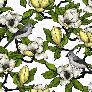 Blooming yellow magnolia and titmouse bird, green leaves on a white textured  background