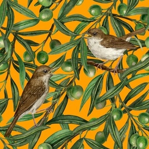Nightingales in the olive tree on orange