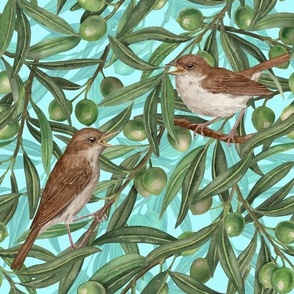 Nightingales in the olive tree on blue