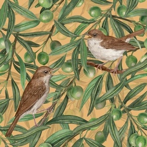 Nightingales in the olive tree