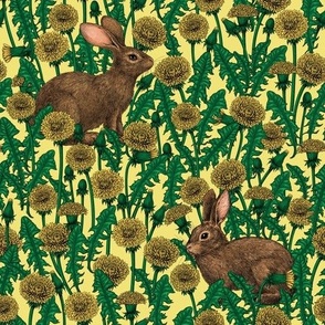 Rabbits and dandelions, yellow, brown and green