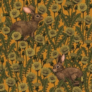 Rabbits and dandelions, yellow, brown and orange