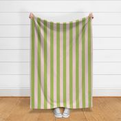 Spring green and pink large stripe