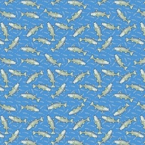 scattered fish on blue and yellow