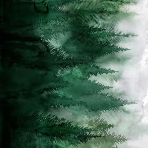 A rainy day at the forest, a mystic watercolor of fir trees and a grey and cloudy forest