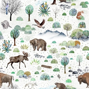 Yukon Backwoods on plain white background, the wildlife of the far north, bear, moose, beaver, bluejay, racoon and others