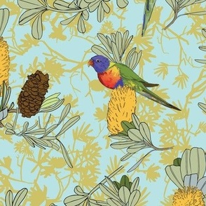 Banksia and Lorikeets - larger scale