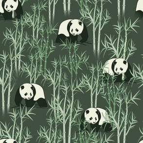 Panda in woods green