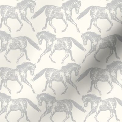 ( small ) horse, wild horses, vintage gray