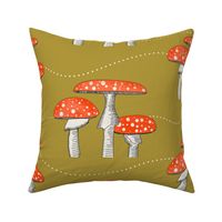 Wild mushroom - Amanita muscaria - Musk