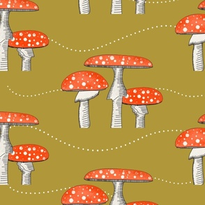 Wild mushroom - Amanita muscaria - Musk