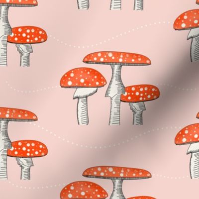 Wild mushroom - Amanita muscaria - Pink - Normal