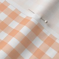 1/2" Gingham Check (peach fuzz + white) // Color of the year 2024