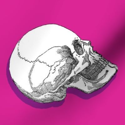 Yorick! Pink Shadow