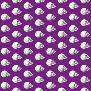 Yorick! Purple