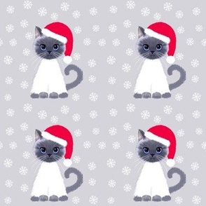 Christmas rag doll kitties on grey