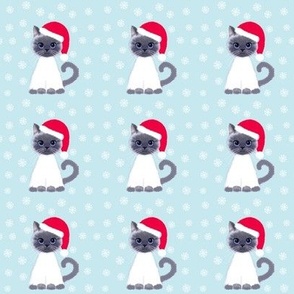 Christmas ragdoll kitties on pastel blue