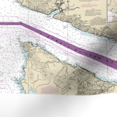 Strait of Georgia and San Juan de Fuca nautical map