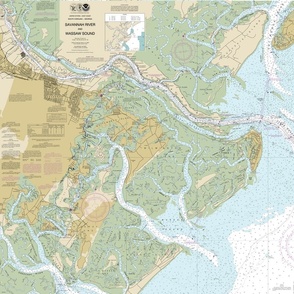Savannah River nautical map