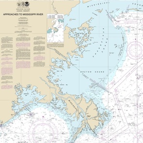 Mississippi Delta nautical map