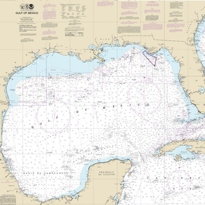 Gulf of Mexico nautical map