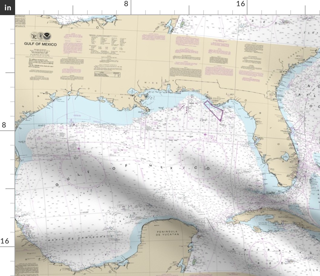 Gulf of Mexico nautical map