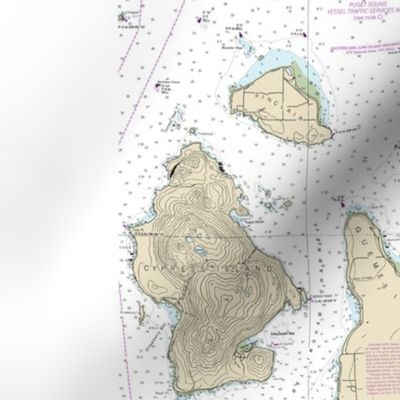 Bellingham Bay nautical map