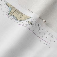 Bellingham Bay nautical map