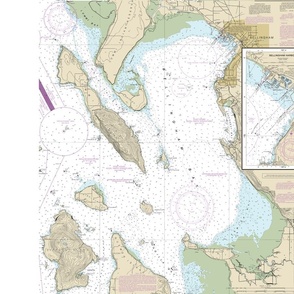 Bellingham Bay nautical map