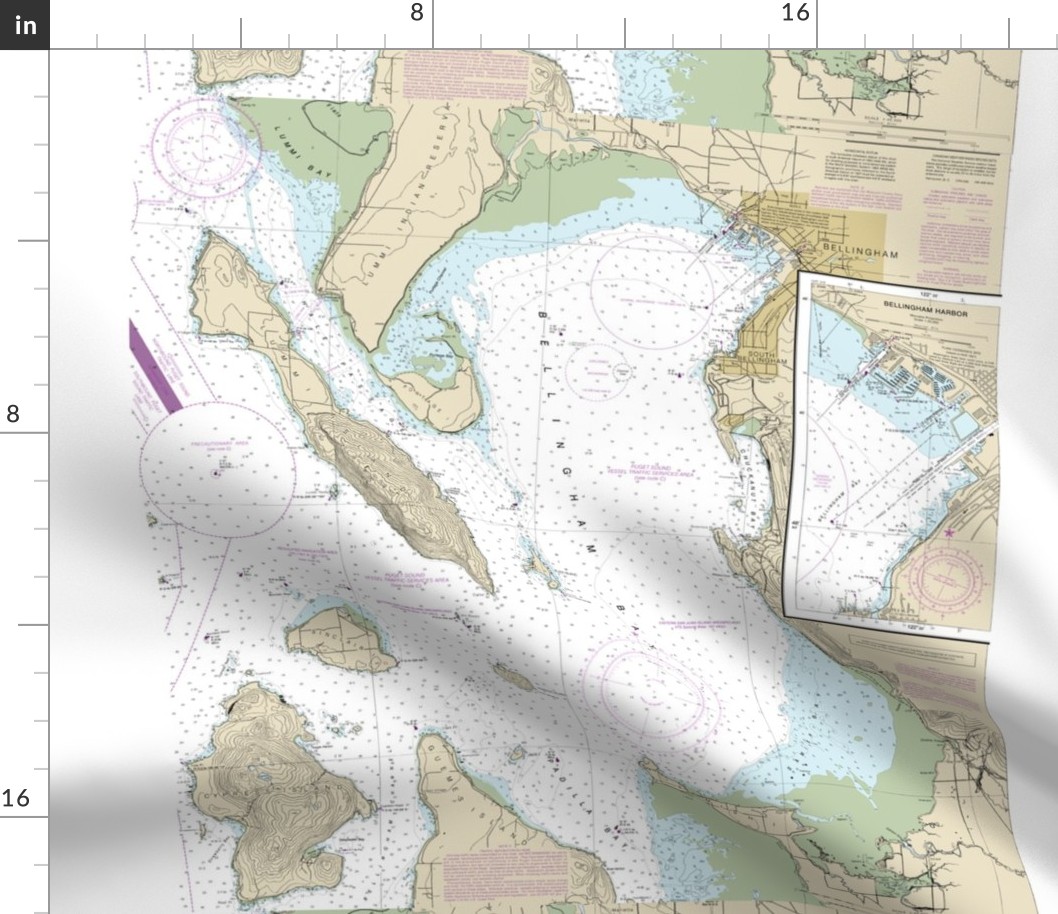 Bellingham Bay nautical map