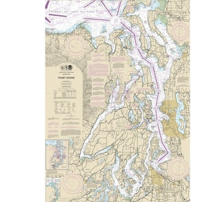 Puget Sound nautical map