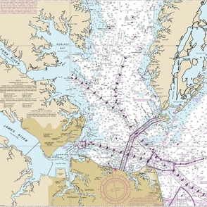 Chesapeake Bay Entrance nautical map